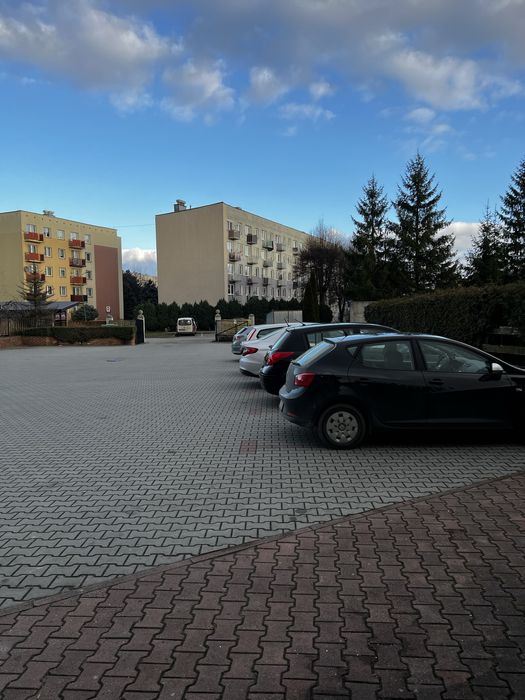 Lokal do wynajęcia