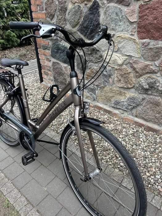 Rower Gazelle Chamonix Trekking