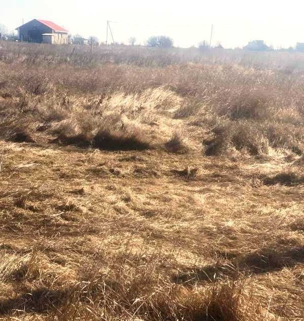Участок 11 соток. Каролино-Бугаз