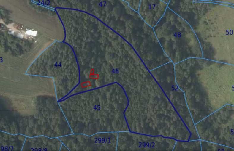 Stary dom z lasem 1,88 ha