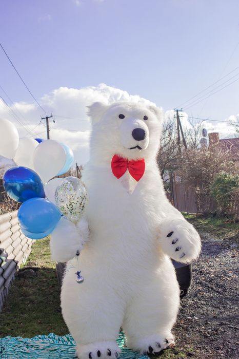 Аниматор Мишка. Білий ведмедик. Мишка. Зайка. Пёс Патрон. Стриптиз.