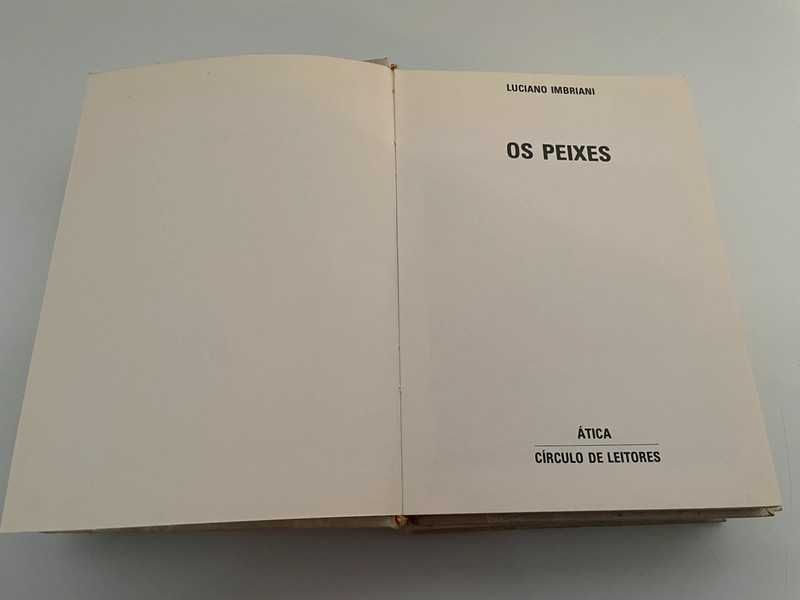 ´Selecção culinária’