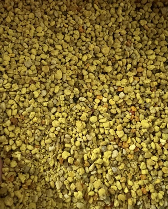 pyłek, pyłek pszczeli kwiatowy kolorowy miód pasieki słoik