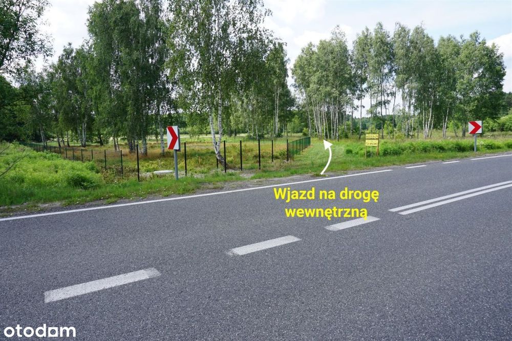 Działka budowlana 2904 m²,Silniczka, Żytno - Widok 4