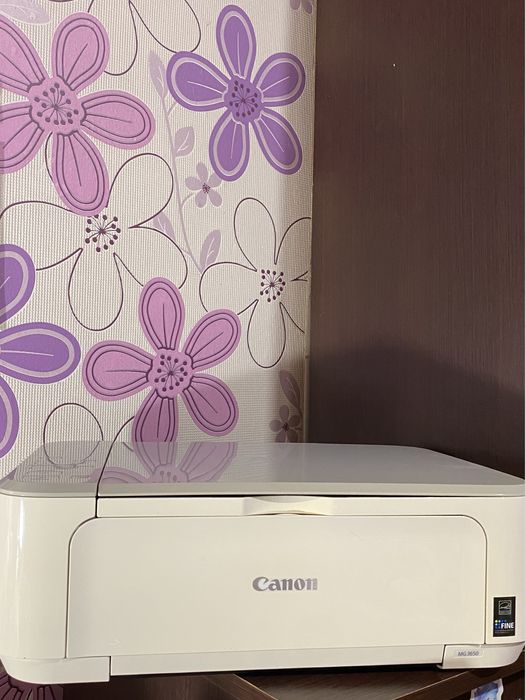 Принтер Canon MG3650S White
