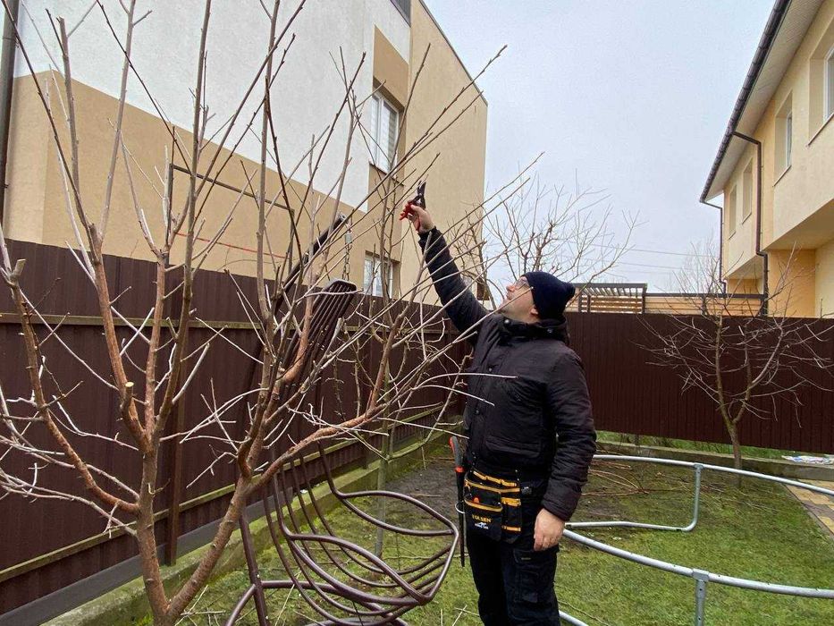 Обрізка дерев, зрізання дерев, обприскування, арбористика, подрібнення