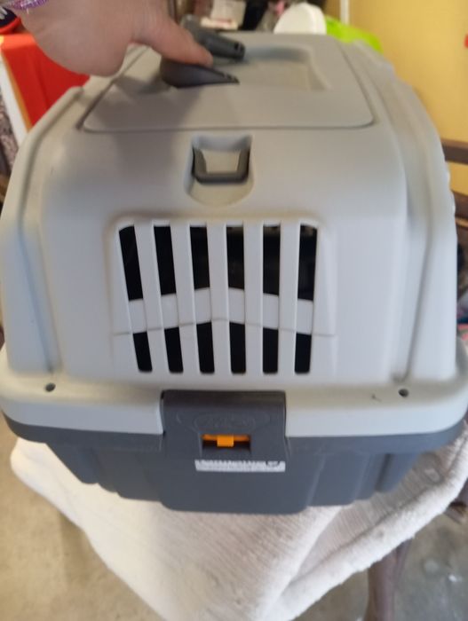 Transportadora de Animais