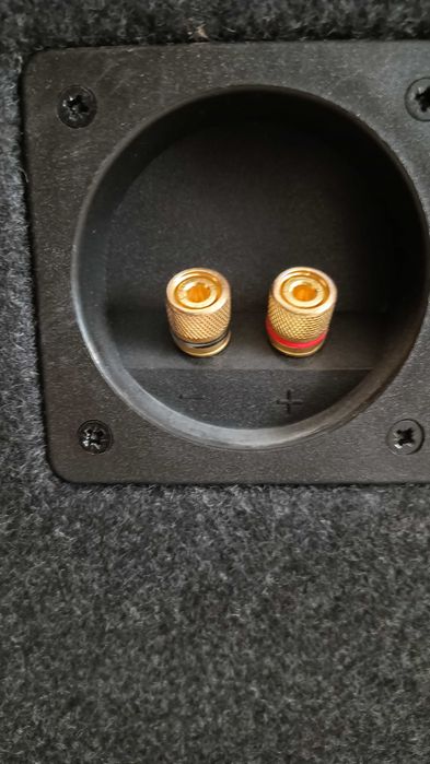 Kolumna 2x15" Eminence Delta 15A + Driver – DIY Custom