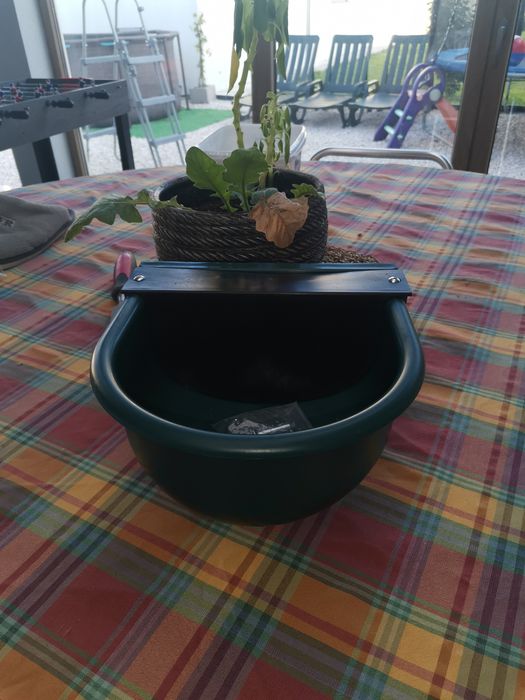 Bebedouro automático para cães