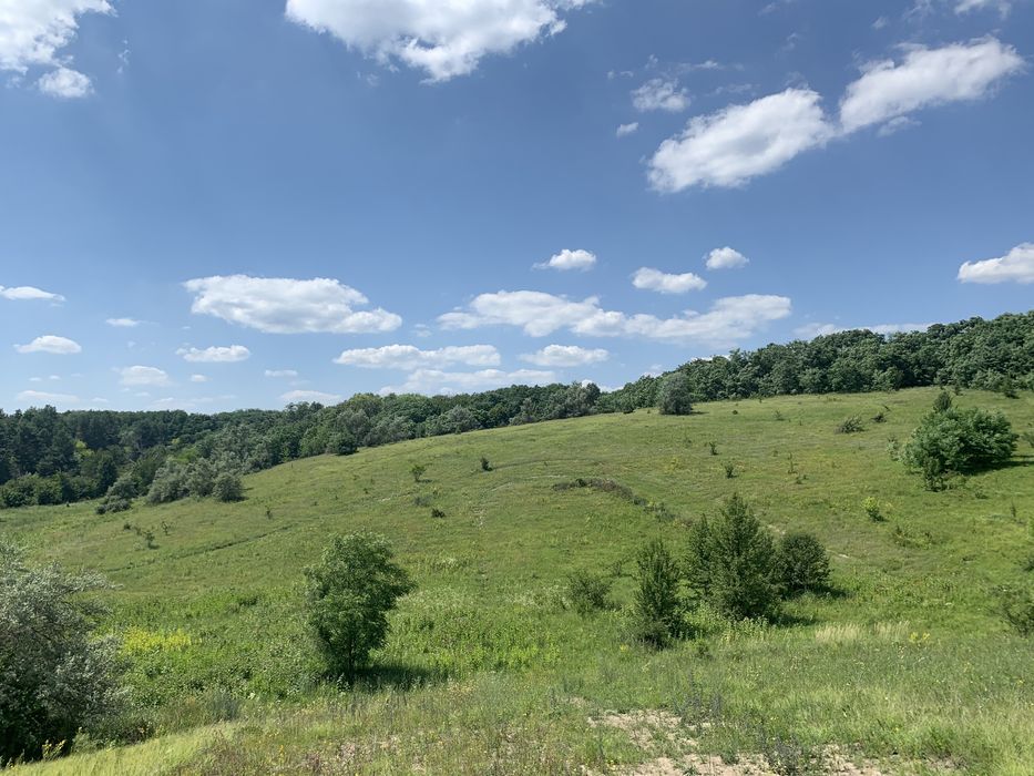 Ржищев 6 га ОСГ , живописно