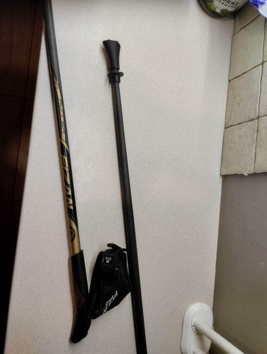 kijki nordic walking fizan carbon 110