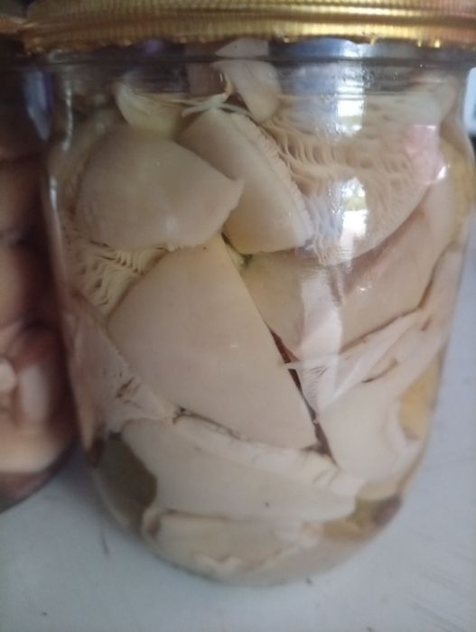 Мариновані грибочки
