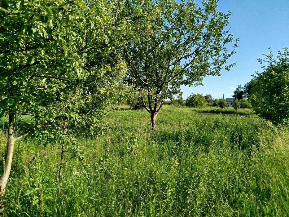 (8) Продам земельну ділянку в с. Медвеже Вушко 8614