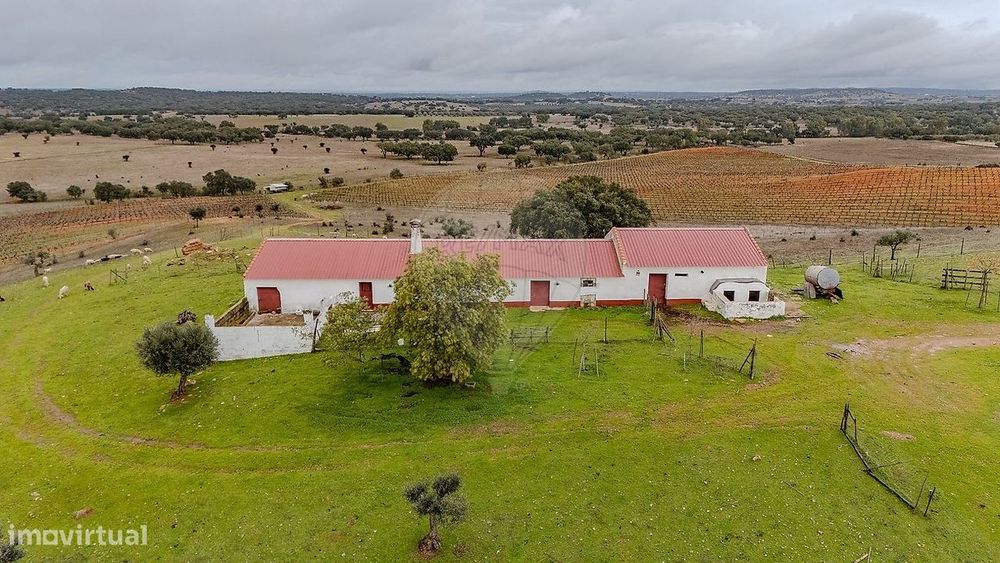 Quinta T1 para venda