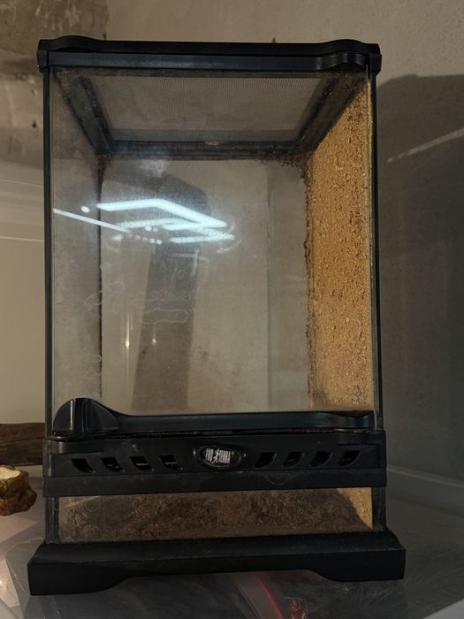 Terrarium szklane 30 × 20 cm + akcesoria GRATIS