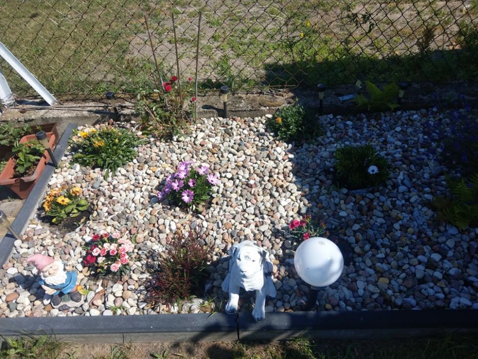 Kora sosnowa żwir ozdobny układanie kostki brukowej