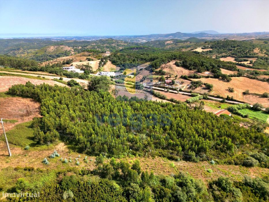 Terreno Rústico com Eucaliptal 14.621m² Abrunheira - Mafra