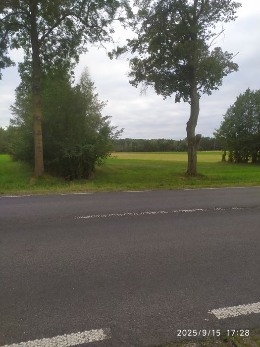 Sprzedam grunt 2,2825 ha przy drodze krajowej  nr.60