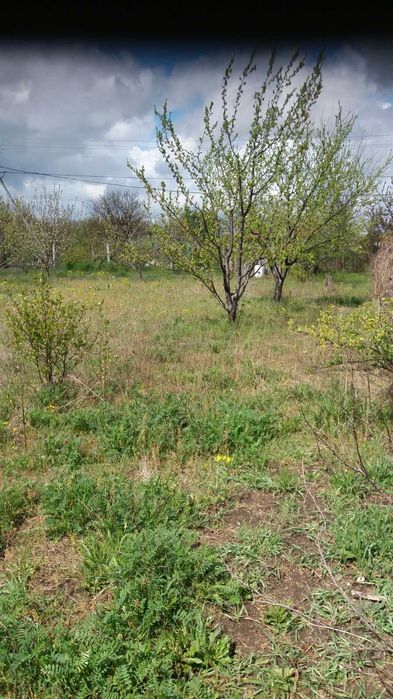 Дачный участок 6 соток Натальевка