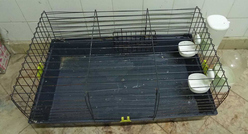 Gaiola para porquinhos da Índia,coelhos etc
