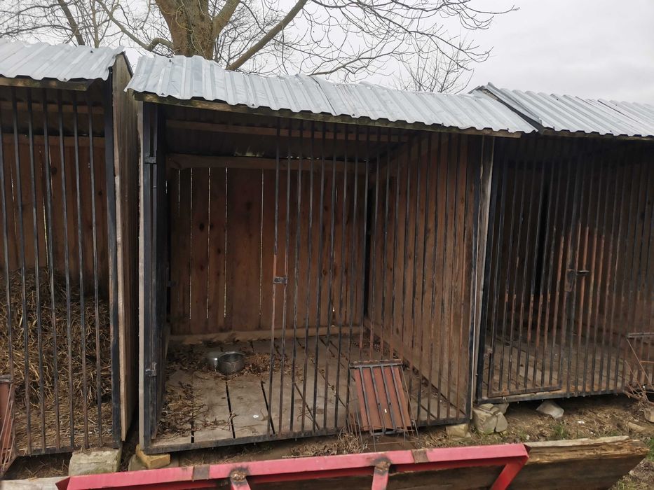 Kojec dla psa. Masywny