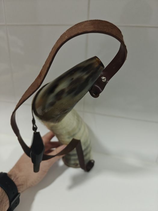 Corno Raro Moçambicano