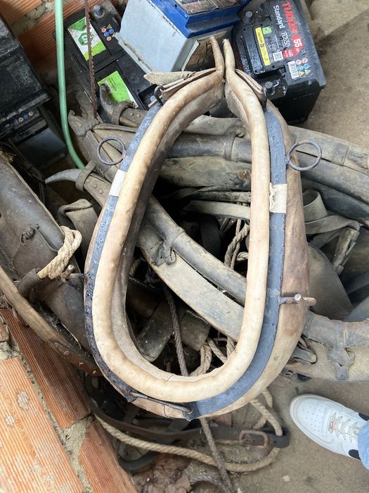 Vendo coleira de egua ta em bom estado sao das boas