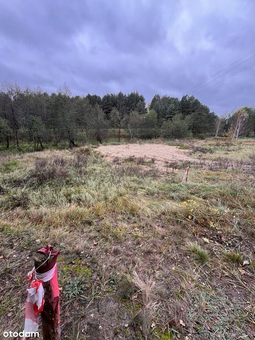 Wierzchy Tleń, działka w spokojnej okolicy przy lesie, Bory Tucholskie