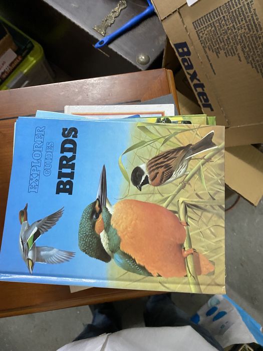 Coleção de livros - Explorer guides