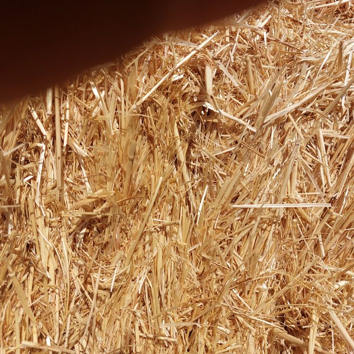 Продам Солома сено