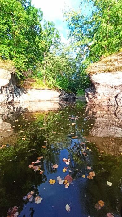 Дача в живописному місці