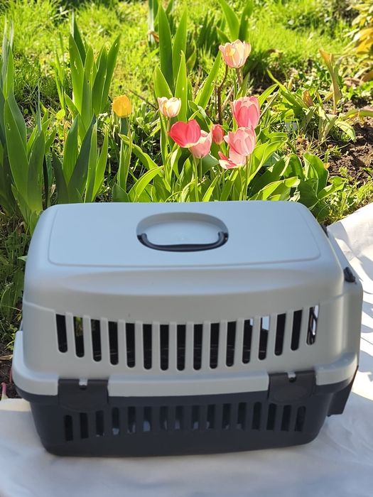 Nowy grafitowy transporter dla kota psa królika świnki morskiej do 15