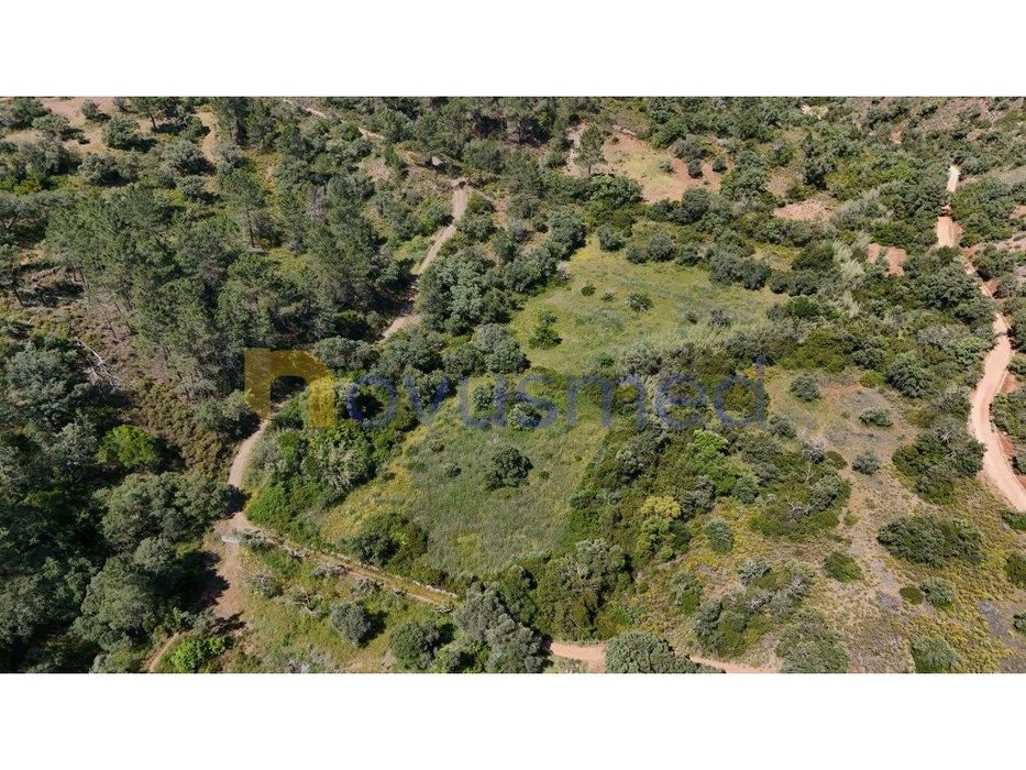 Terreno Rústico de 3000m² na Encantadora Fonte Benémola - Querença,... — Salir, Faro