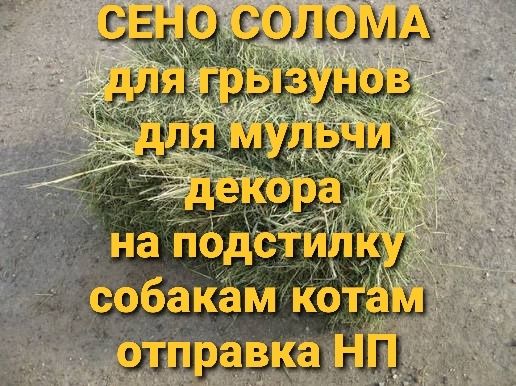 Сіно сено солома в тюках, в мешках с доставкой по нп.