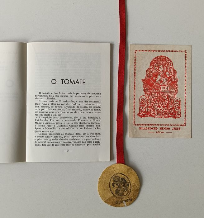 O tomate: Sua história, valor químico-medicinal, utilidade na cozinha e forma de come-lo cru - indicado em mais de 50 doenças