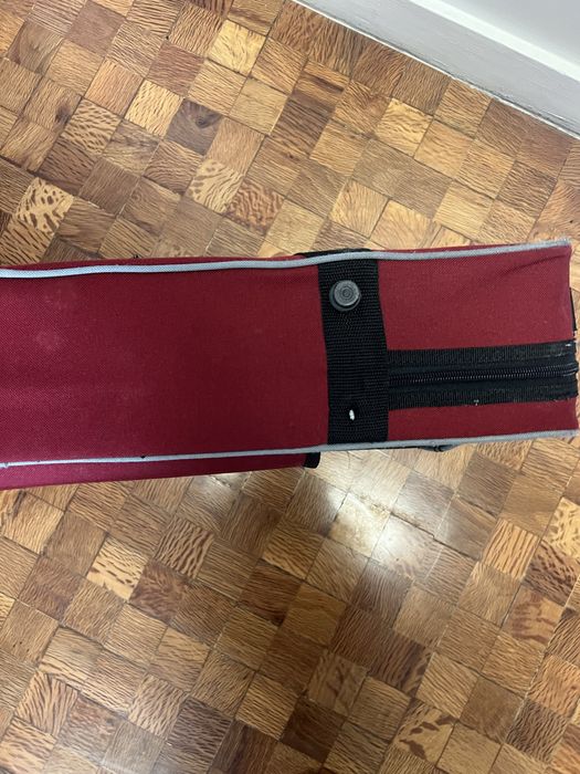 Viola d’arco (14 polegadas)