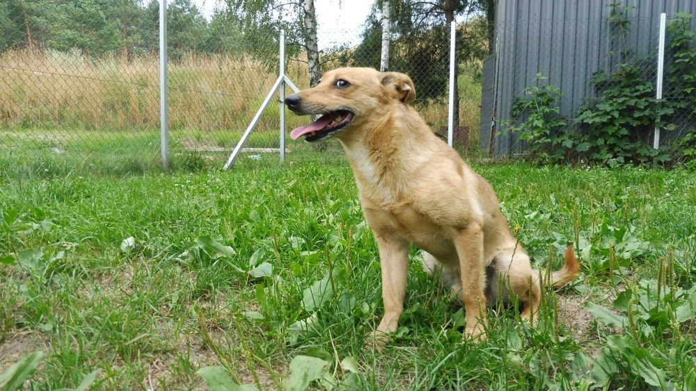 Biedny i zagubiony Etyl szuka stabilnego domu