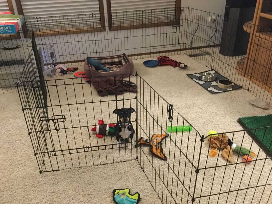 Клітка манеж с дверкой 180х60х76 см клетка для собак кошек щенков