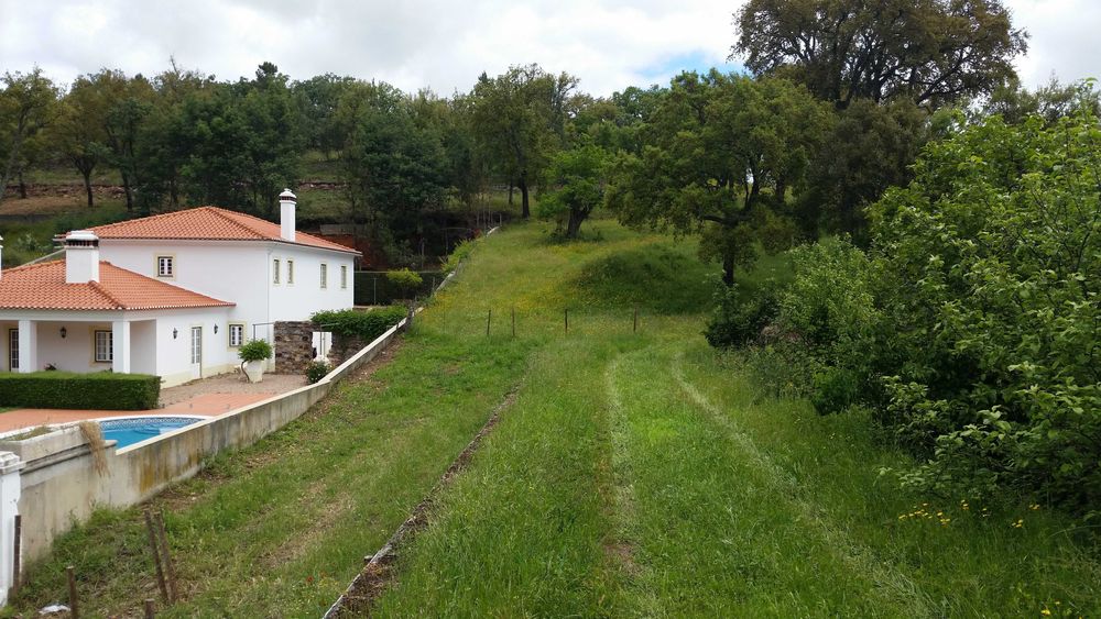 Terreno rustico 4ha com PDM para construção