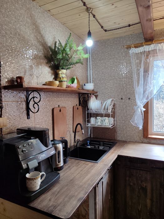 Відпочинок, котедж в Карпатах