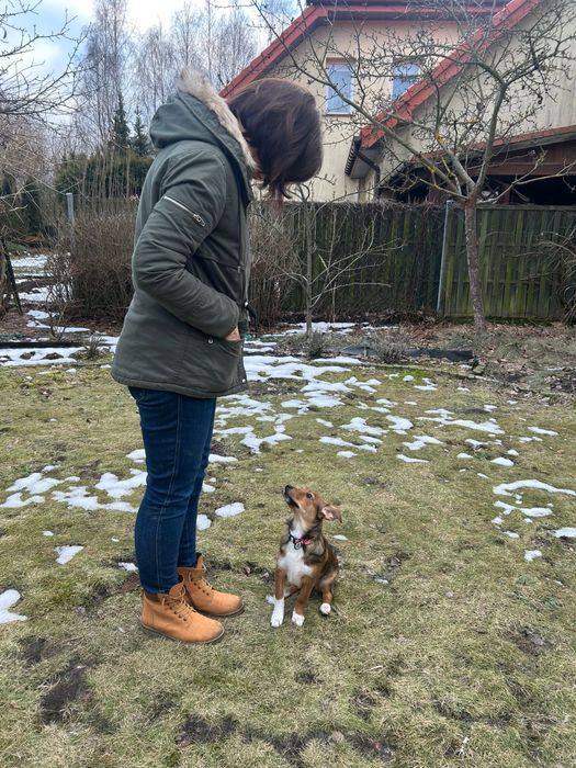 Mała Tola szuka domu