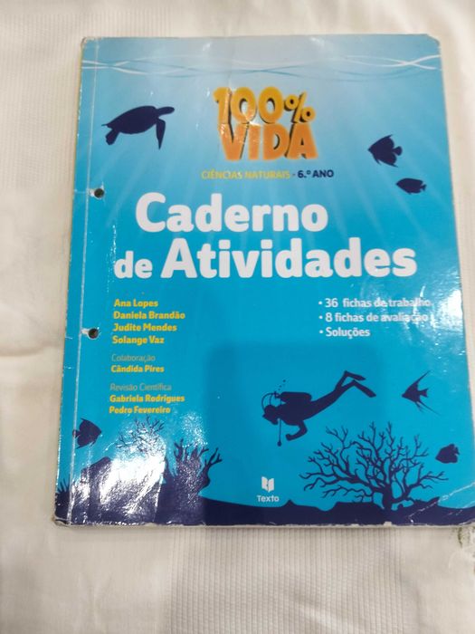 Cadernos de atividades 6 ano