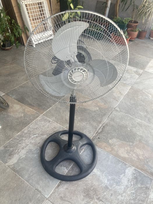 Ventoinha pe alto (antiga)