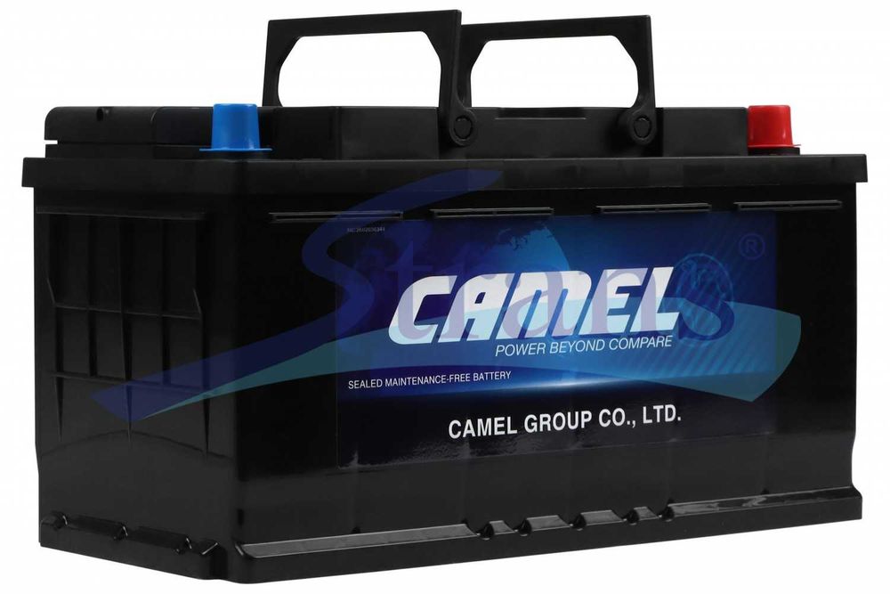 Акумулятор Camel 12V 100Ah 800A R+ 353*175*190Mm 60044