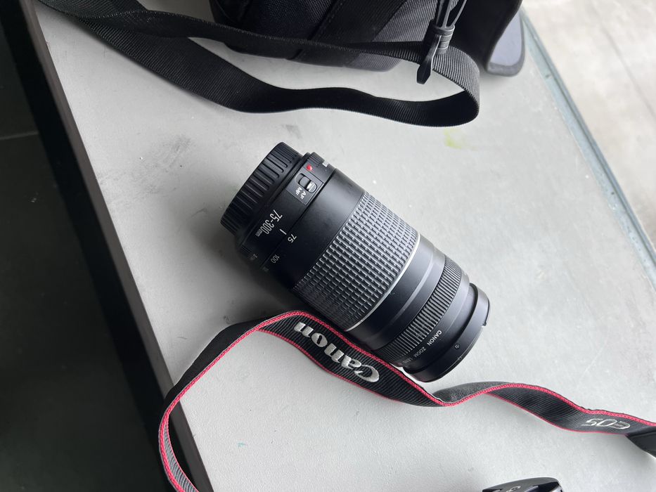 Canon EOS 2000D (Rebel T7),