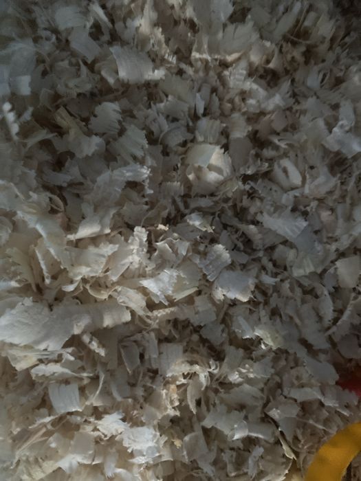 Trociny na sprzedasz dla zwierzat