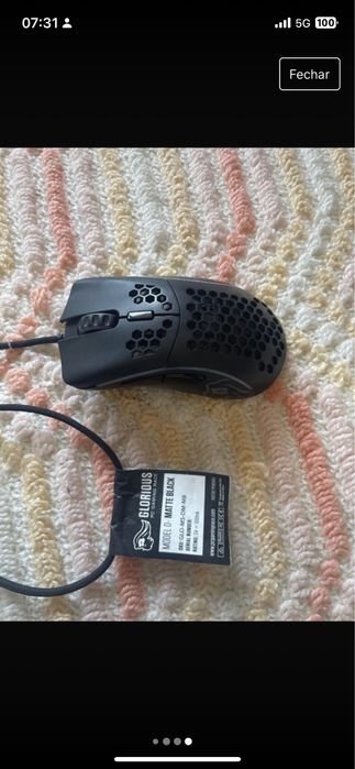 glorius model D novo