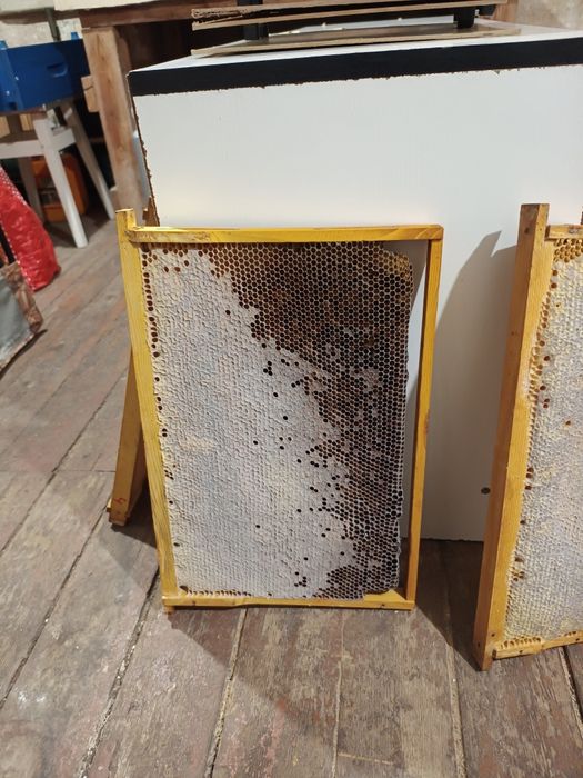 Продам кормовые рамки и суш.