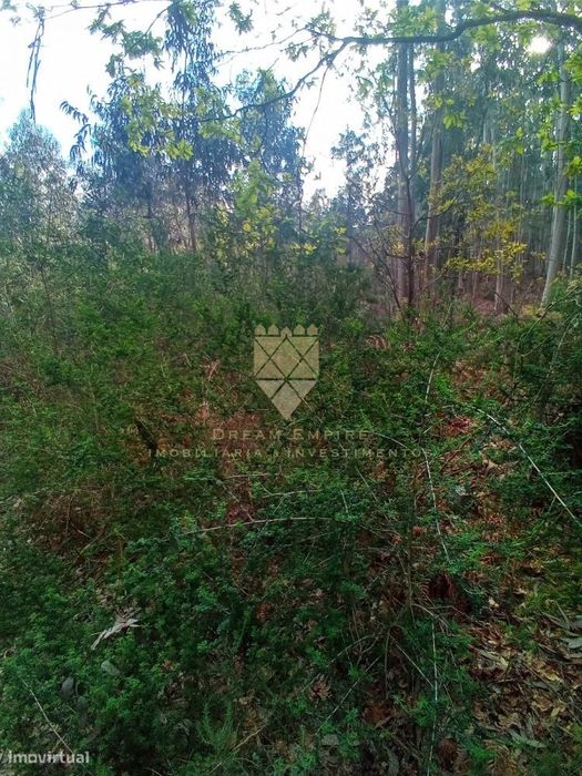 Terreno Rústico com 1.200 m²