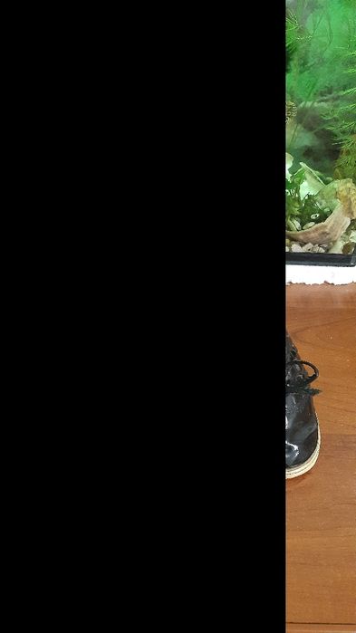 Резиновые сапоги 31 р. Девочке